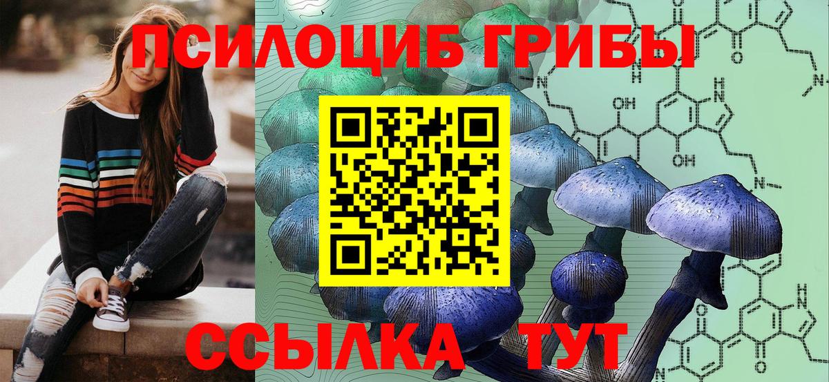 Галлюциногенные грибы мухоморы Кисловодск