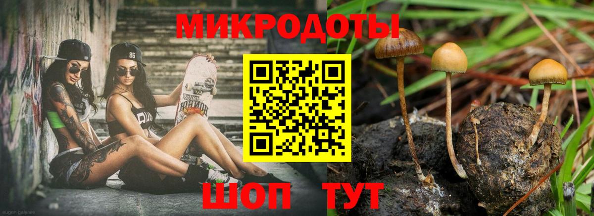 Псилоцибиновые грибы Psilocybe  Вход с VPN  Галлюциногенные грибы MAGIC MUSHROOMS  Кисловодск 